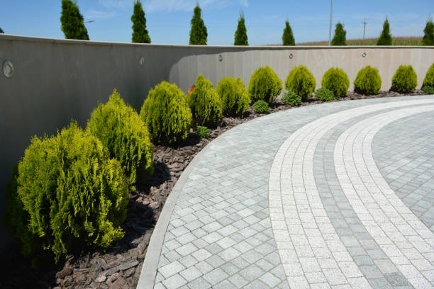 Reasons to Select Us for Your Driveway Paving Requirements in Mokena, IL